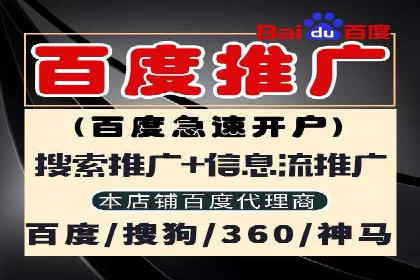谷歌竞价广告的投放策略与成功案例分析